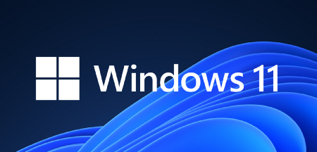 Windows 11 Pro Lisans Satın Al